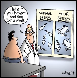 sperm