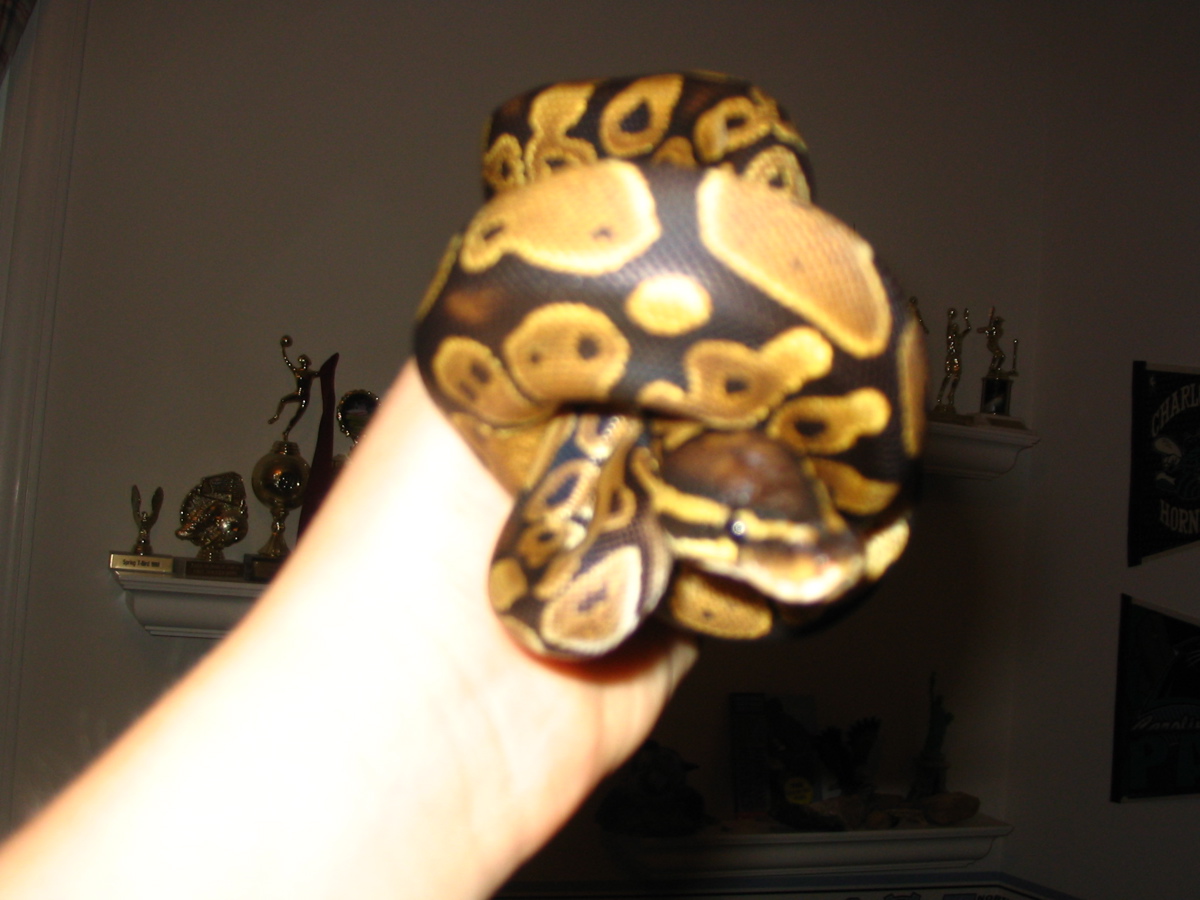 Monty at 1 (Again)