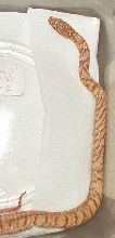 albino Korean ratsnake