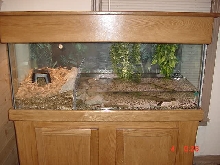 my baby anaconda set up