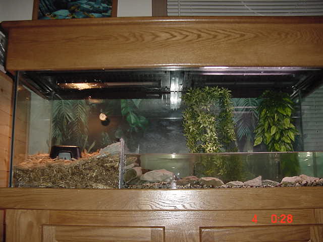 my baby anaconda set up pic 2