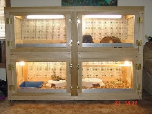 kimo's custom cage