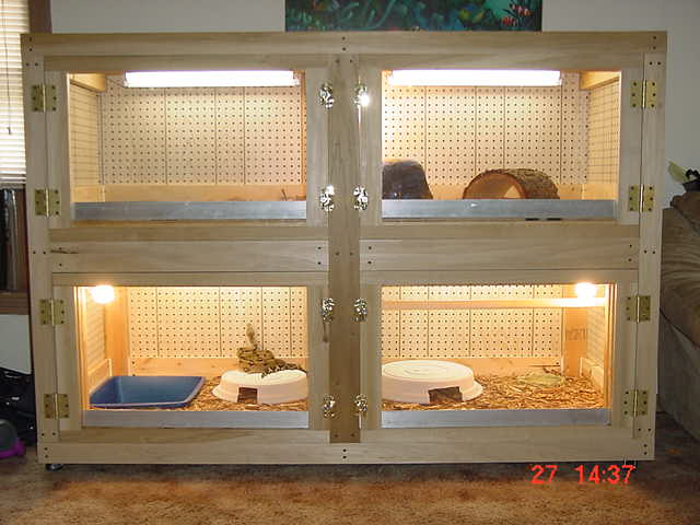 kimo's custom cage
