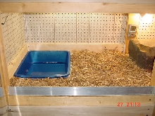 kimo's custom cage