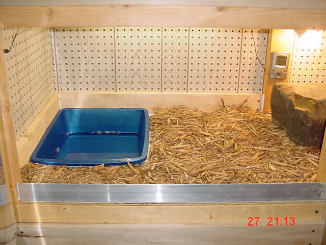 kimo's custom cage