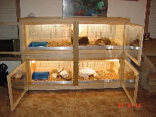 kimo's custom cage