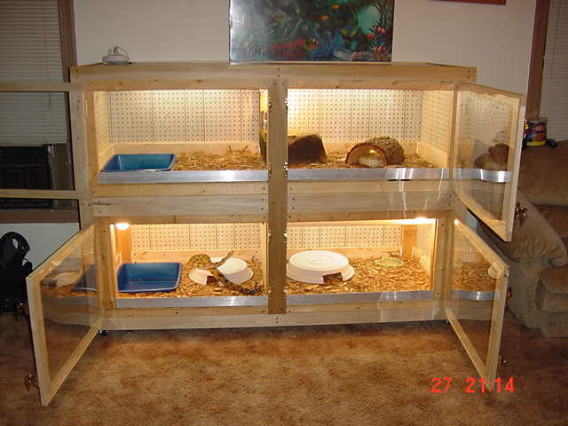 kimo's custom cage