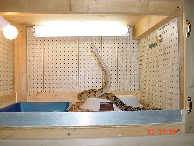 kimo's custom cage