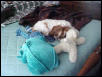 Too tired to get up