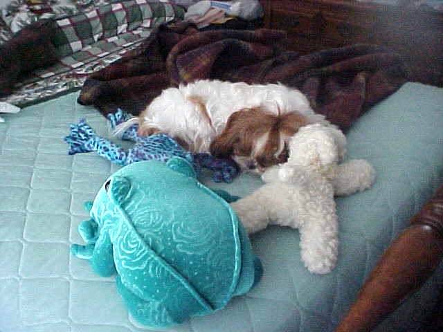 Too tired to get up
