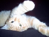 Stretch!