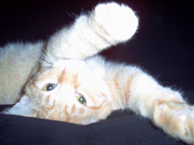 Stretch!