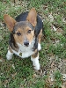 Eddie the cutie