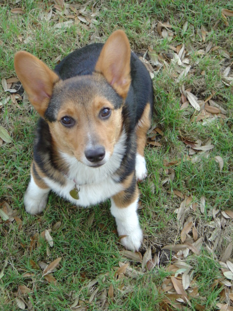 Eddie the cutie