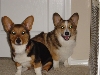 The Murphy brothers