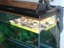 dock2