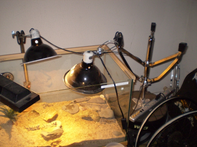 Drum Stool Light Stand