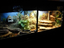 Cage Setup