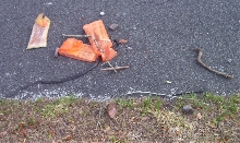blkracerdead1