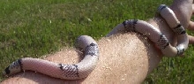 ghostfemale2
