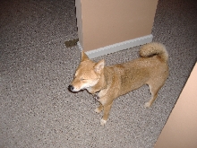 Oooohhh, that flash is bright!