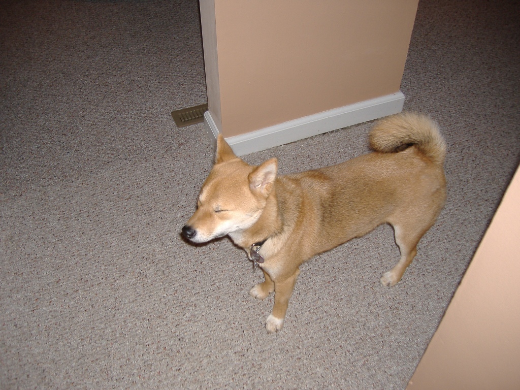 Oooohhh, that flash is bright!