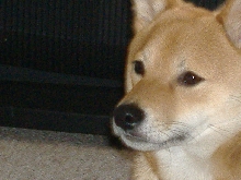In "deep" thought....