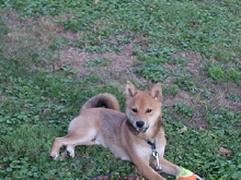 Having fun with my ball....