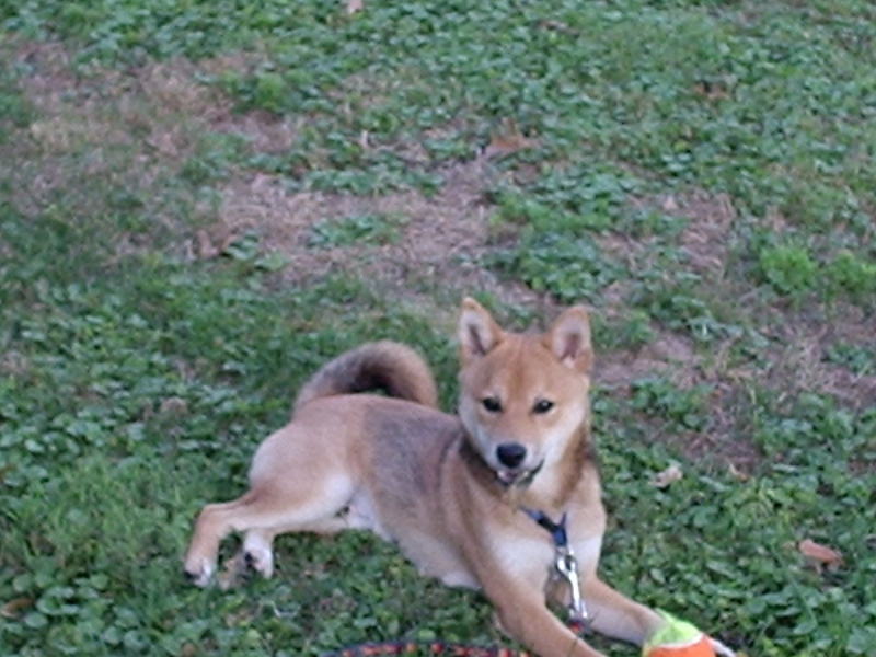 Having fun with my ball....