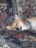 Don't wake me up now....