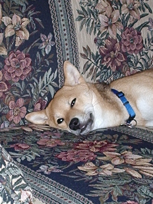 Don't wake me up now....
