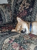 I can see you with one eye open...