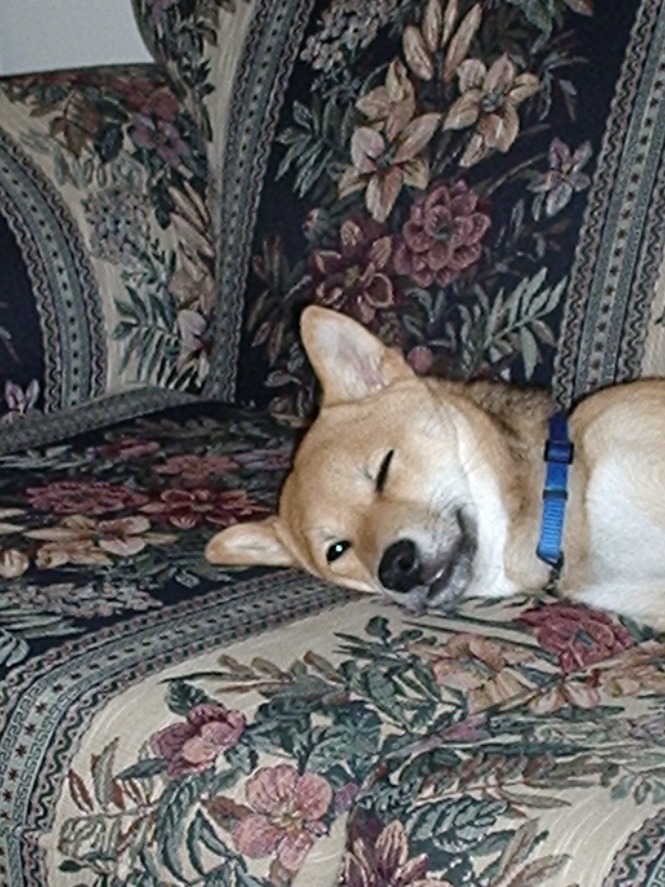I can see you with one eye open...