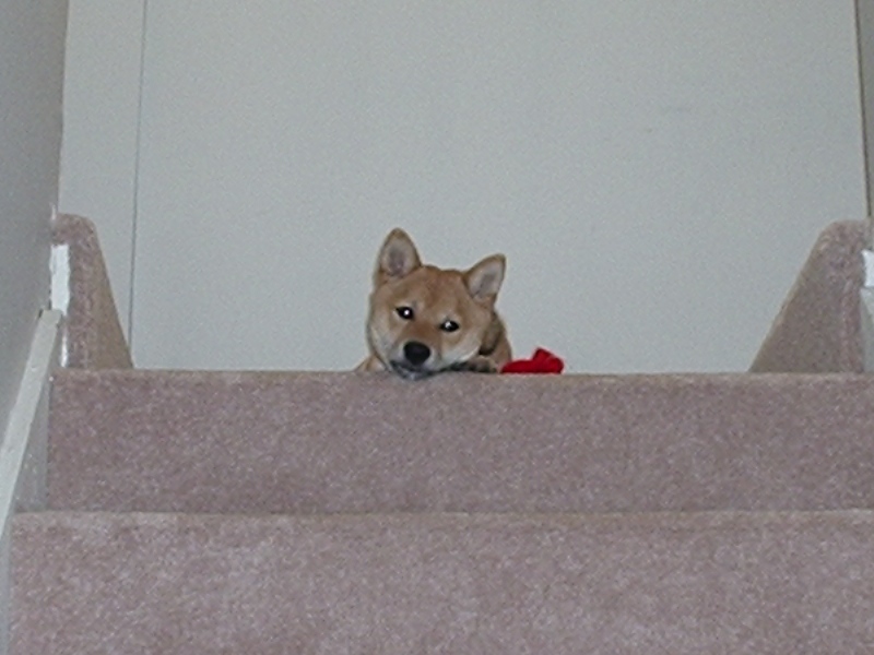 Top of the stairs.....