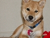 I'm soooo cute.....