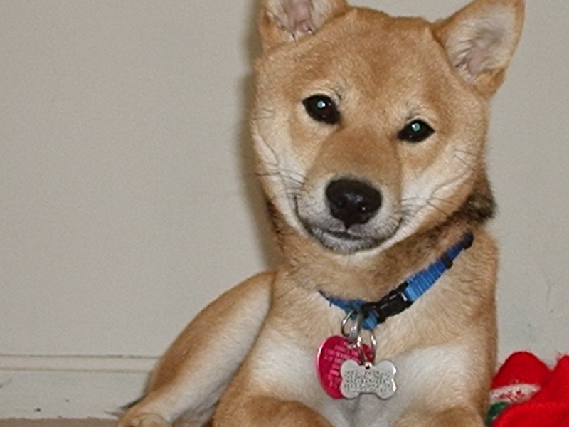 I'm soooo cute.....