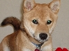 I'm soooo cute #3