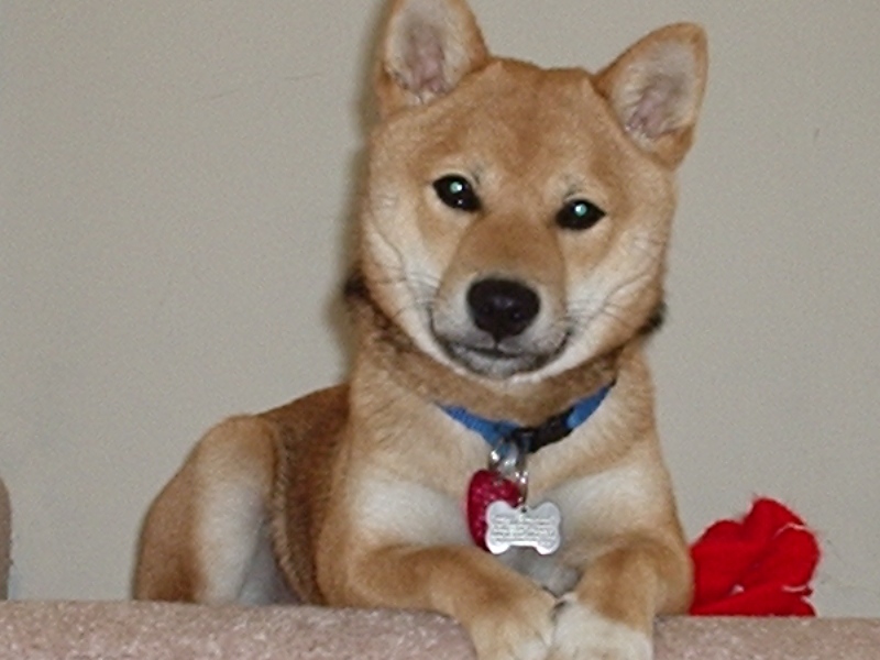 I'm soooo cute #4