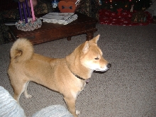 Christmas 2006