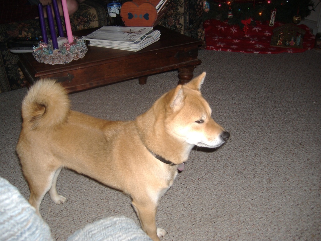Christmas 2006