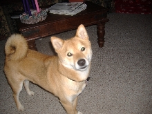 Christmas 2006