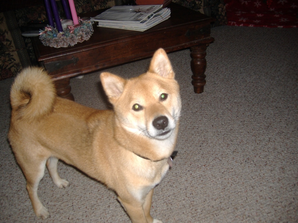 Christmas 2006