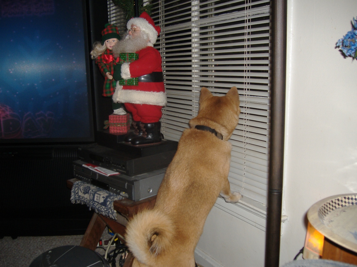 Christmas 2006