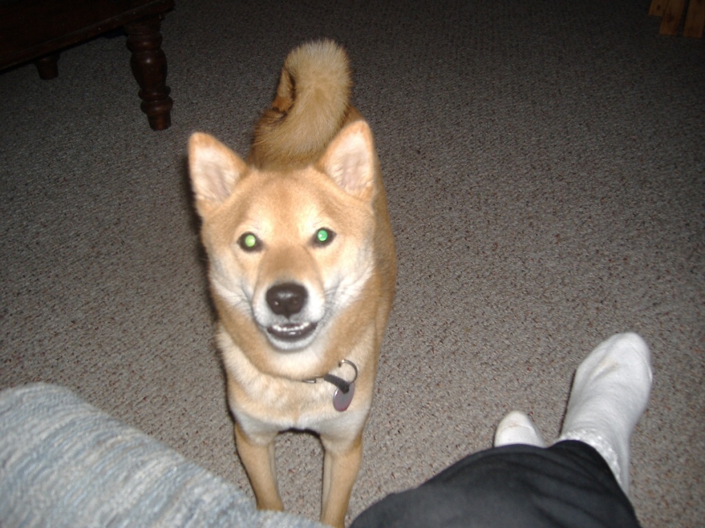 Christmas 2006