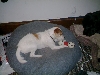 Mushu not sharing