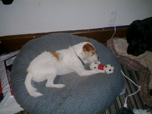 Mushu not sharing