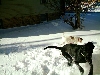 Play!!!!