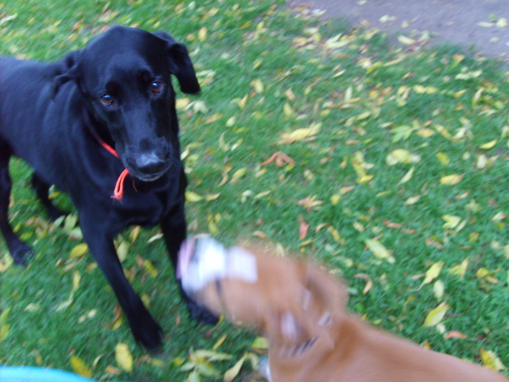 Nalia and Betly