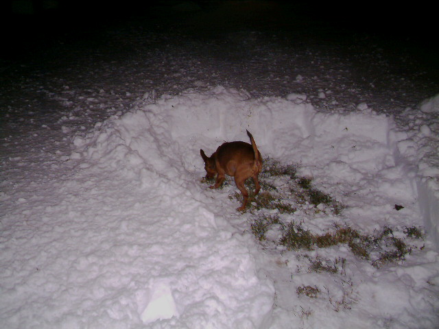 buster