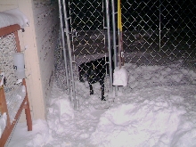 SNOW!!!!